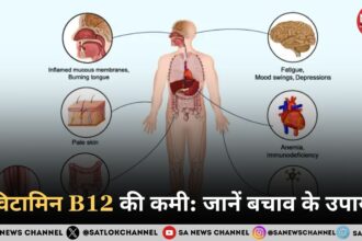 विटामिन B12 की कमी: 57% कॉर्पोरेट पेशेवर प्रभावित, जानें बचाव के उपाय