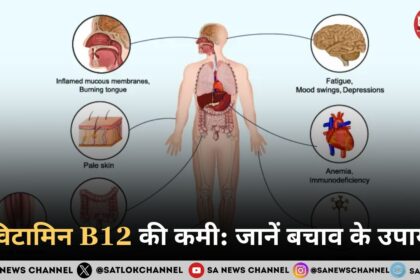 विटामिन B12 की कमी: 57% कॉर्पोरेट पेशेवर प्रभावित, जानें बचाव के उपाय