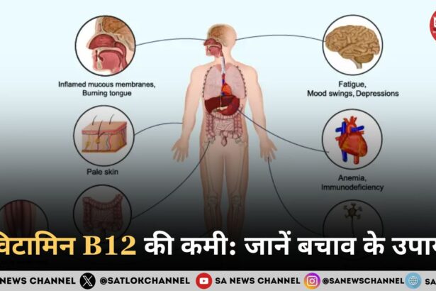 विटामिन B12 की कमी: 57% कॉर्पोरेट पेशेवर प्रभावित, जानें बचाव के उपाय