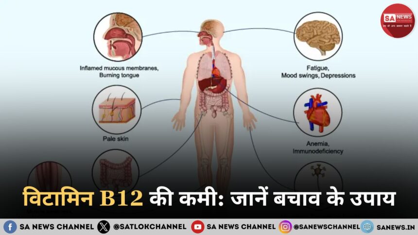 विटामिन B12 की कमी: 57% कॉर्पोरेट पेशेवर प्रभावित, जानें बचाव के उपाय