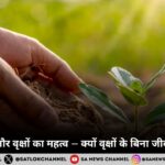 मानव जीवन और वृक्षों का महत्व – क्यों वृक्षों के बिना जीवन असंभव है