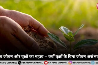 मानव जीवन और वृक्षों का महत्व – क्यों वृक्षों के बिना जीवन असंभव है