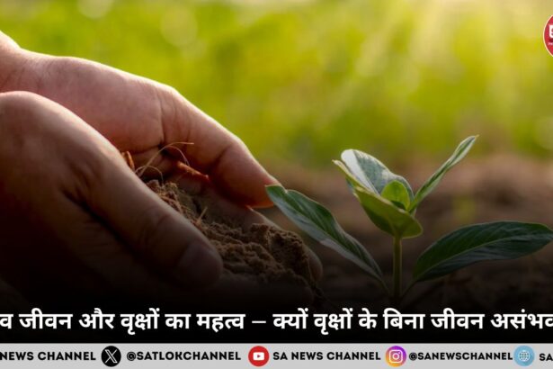मानव जीवन और वृक्षों का महत्व – क्यों वृक्षों के बिना जीवन असंभव है