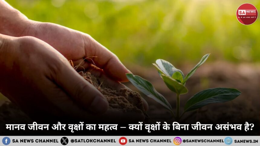 मानव जीवन और वृक्षों का महत्व – क्यों वृक्षों के बिना जीवन असंभव है