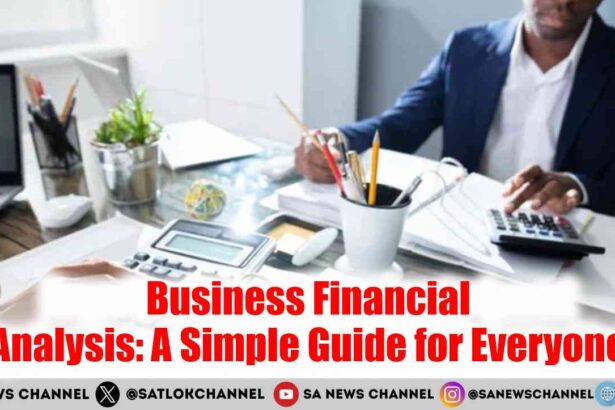 Business Financial Analysis A Simple Guide for Everyone