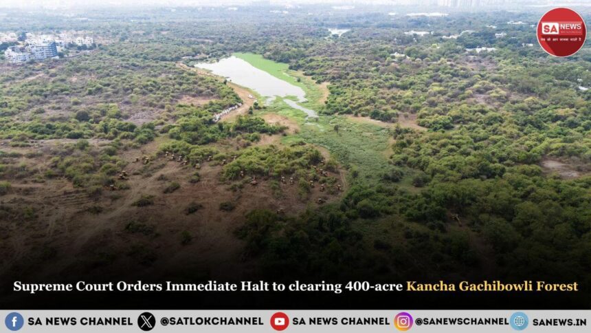 Supreme Court Orders Immediate Halt to clearing 400-acre Kancha Gachibowli Forest, Hyderabad