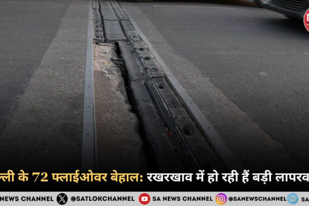 दिल्ली के 72 फ्लाईओवर बेहाल रखरखाव में हो रही हैं बड़ी लापरवाह