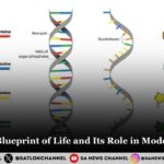 RNA The Blueprint of Life and Its Role in Modern Science