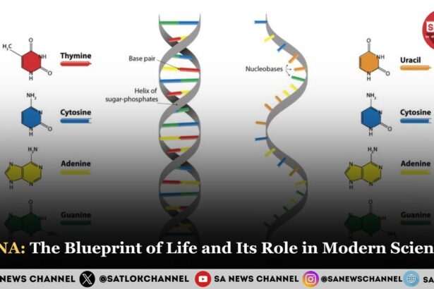 RNA The Blueprint of Life and Its Role in Modern Science