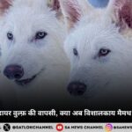 पृथ्वी पर खूंखार डायर वुल्फ़ की वापसी, क्या अब विशालकाय मैमथ हाथी की बारी है?
