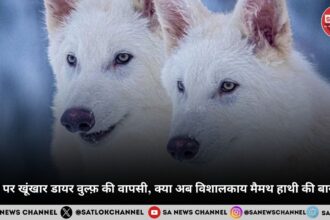 पृथ्वी पर खूंखार डायर वुल्फ़ की वापसी, क्या अब विशालकाय मैमथ हाथी की बारी है?