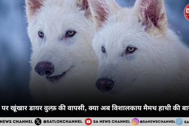 पृथ्वी पर खूंखार डायर वुल्फ़ की वापसी, क्या अब विशालकाय मैमथ हाथी की बारी है?