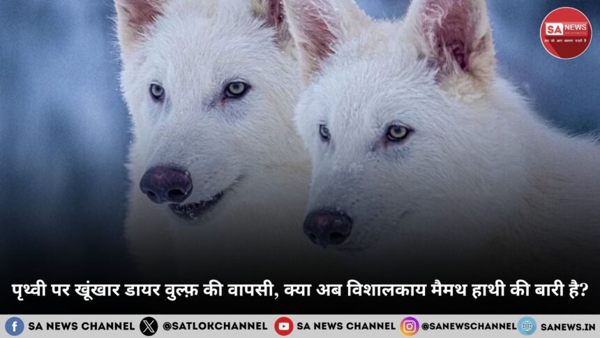 पृथ्वी पर खूंखार डायर वुल्फ़ की वापसी, क्या अब विशालकाय मैमथ हाथी की बारी है?