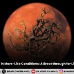 Lichens Survive in Mars-Like Conditions: A Breakthrough for Life Beyond Earth