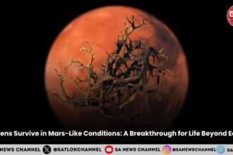 Lichens Survive in Mars-Like Conditions: A Breakthrough for Life Beyond Earth
