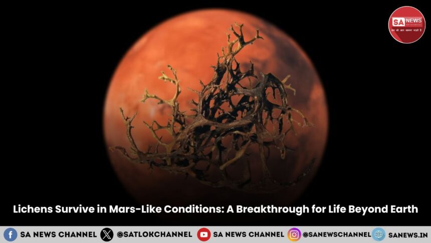 Lichens Survive in Mars-Like Conditions: A Breakthrough for Life Beyond Earth
