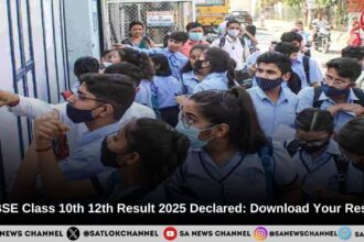 CGBSE Class 10th 12th Result 2025 Declared: Download Your Result & Check Statistics