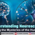 Understanding Neuroscience Exploring the Mysteries of the Human Brain