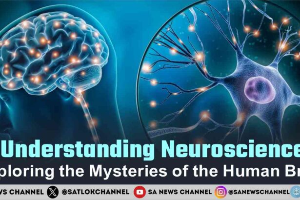 Understanding Neuroscience Exploring the Mysteries of the Human Brain