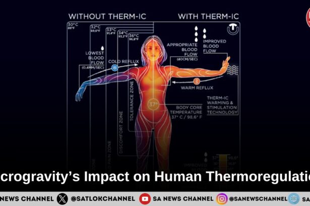 Microgravity’s Impact on Human Thermoregulation