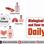 Biological Processes and Their Importance in Daily Life