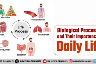 Biological Processes and Their Importance in Daily Life