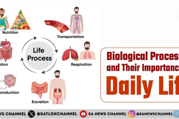 Biological Processes and Their Importance in Daily Life