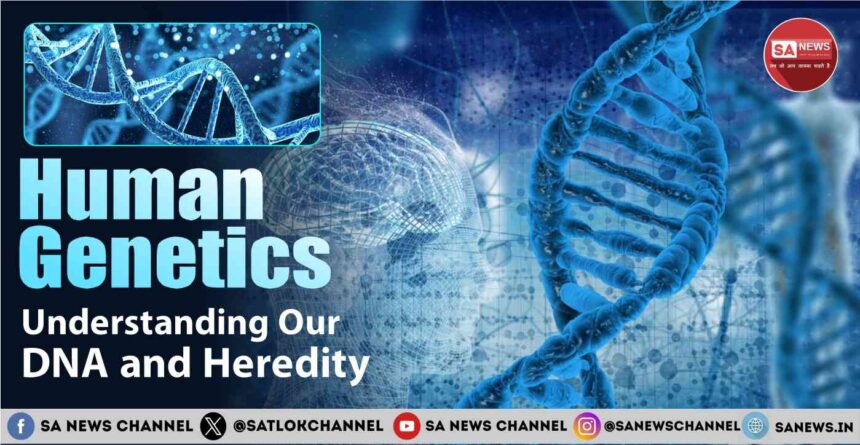 Human Genetics Understanding Our DNA and Heredity