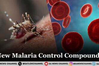 New Malaria Control Compounds