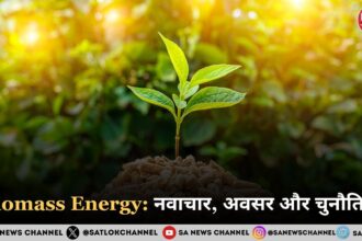 Biomass Energy 2025 नवाचार, अवसर और चुनौतियाँ