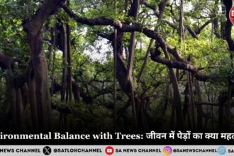 Environmental Balance with Trees: जीवन में पेड़ों का क्या महत्व है?