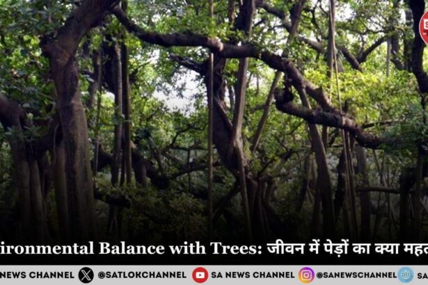 Environmental Balance with Trees: जीवन में पेड़ों का क्या महत्व है?