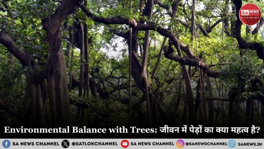 Environmental Balance with Trees: जीवन में पेड़ों का क्या महत्व है?