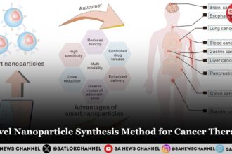 Novel Nanoparticle Synthesis Method for Cancer Therapy