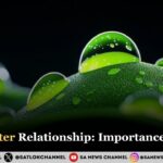 Plant-Water Relationship: Importance of Water