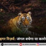 सरिस्का टाइगर रिज़र्व जंगल बचेगा या कारोबार बढ़ेगा