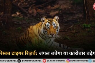 सरिस्का टाइगर रिज़र्व जंगल बचेगा या कारोबार बढ़ेगा