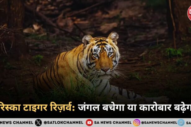 सरिस्का टाइगर रिज़र्व जंगल बचेगा या कारोबार बढ़ेगा