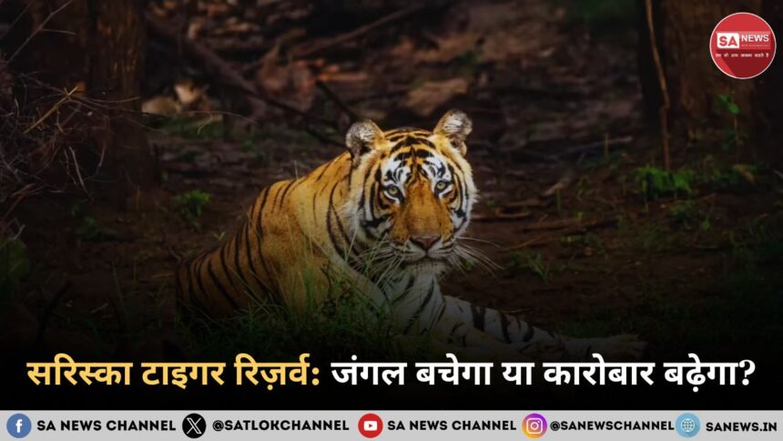 सरिस्का टाइगर रिज़र्व जंगल बचेगा या कारोबार बढ़ेगा