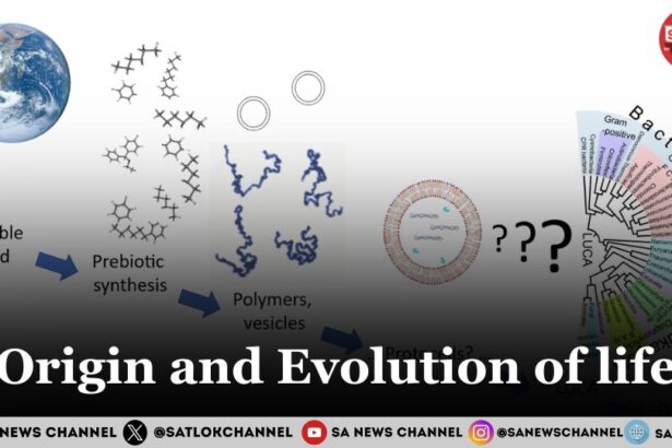 Origin and Evolution of life