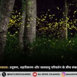 joognu-ka-bhujta-ujala