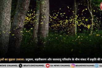 joognu-ka-bhujta-ujala