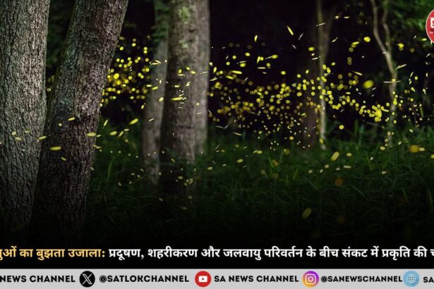 joognu-ka-bhujta-ujala