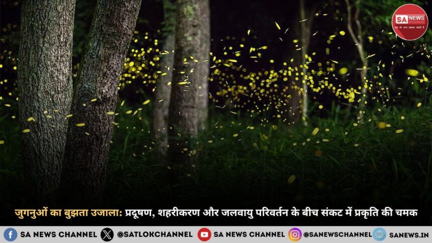 joognu-ka-bhujta-ujala