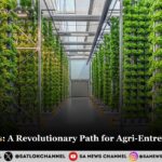 Hydroponics A Revolutionary Path for Agri-Entrepreneurship in 2025