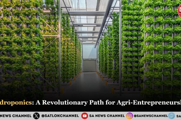 Hydroponics A Revolutionary Path for Agri-Entrepreneurship in 2025