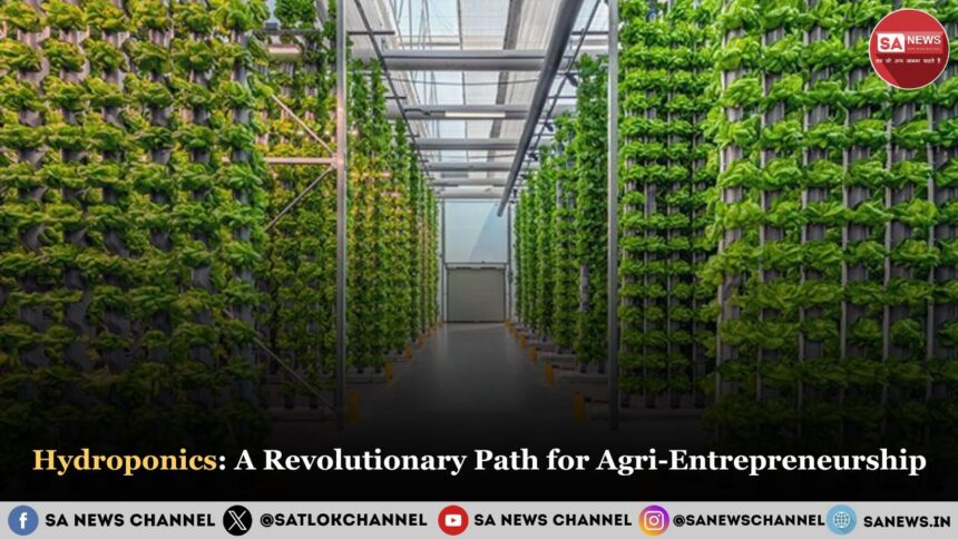 Hydroponics A Revolutionary Path for Agri-Entrepreneurship in 2025