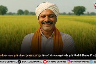 प्रधानमंत्री धन-धान्य कृषि योजना (PMDDKY): किसानों की आय बढ़ाने और कृषि जिलों के विकास की नई पहल