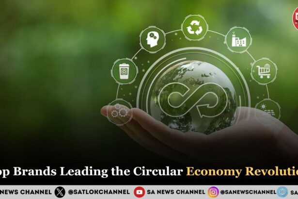 Top Brands Leading the Circular Economy Revolution in 2025