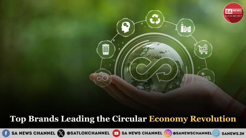 Top Brands Leading the Circular Economy Revolution in 2025